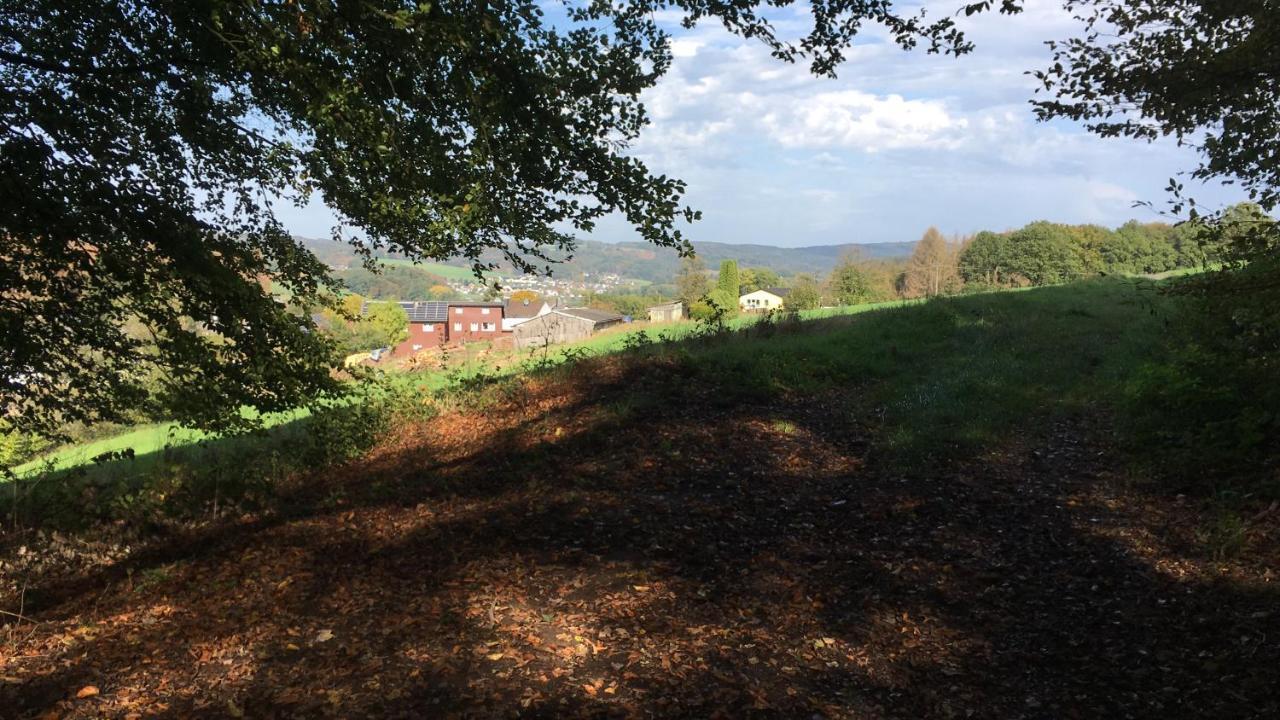 Appartamento Feriendomizil Burg Overath Esterno foto